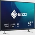 EIZO LED monitor EV4340X-BK, 42.5", UltraHD/4K, crni